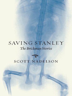 cover image of Saving Stanley